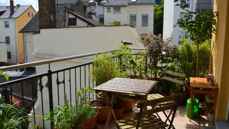 Balcony gardening