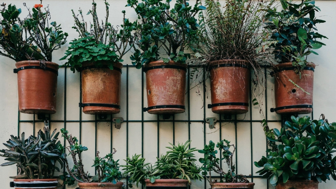 Vertical gardening