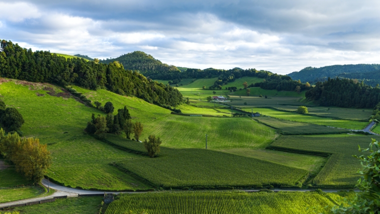 Plantation and farming.